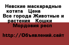 Невские маскарадные котята › Цена ­ 15 000 - Все города Животные и растения » Кошки   . Мордовия респ.